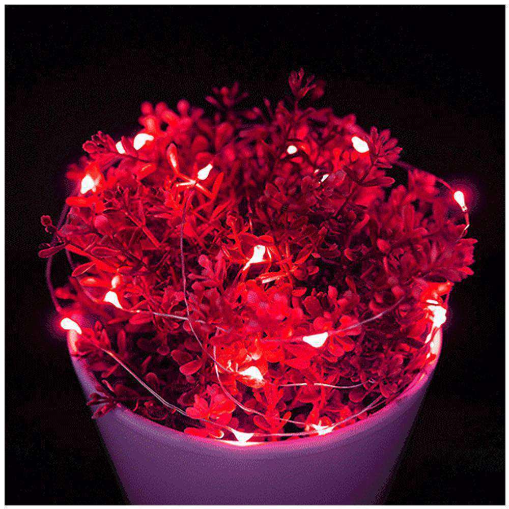 AMZER Fairy String Light 50 LED 5m Waterproof AA Battery Operated