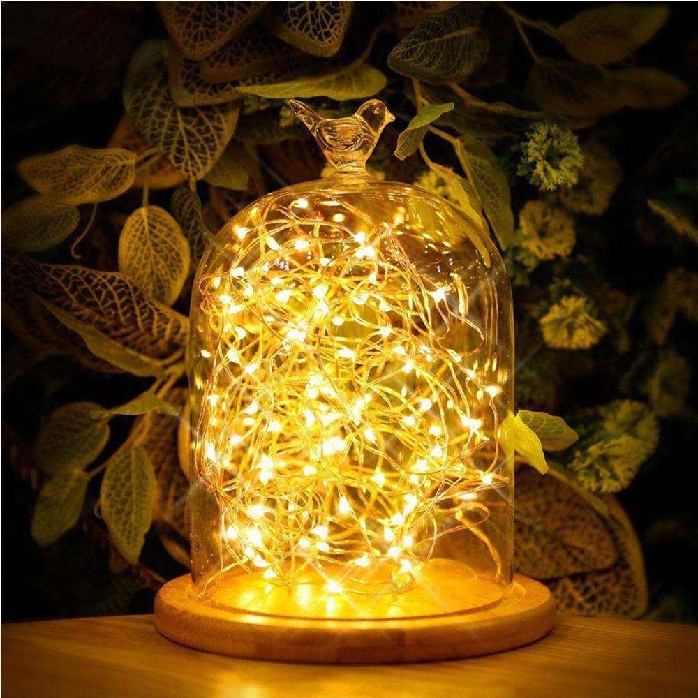 AMZER Fairy String Light 50 LED 5m Waterproof AA Battery Operated