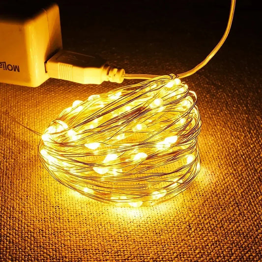 USB LED String Lights 5M Silver Wire Garland Light Waterproof Fairy