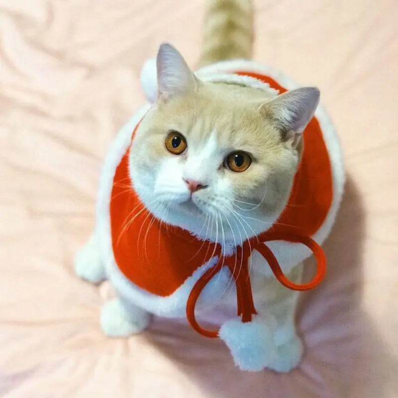 Cat Costume Santa Cosplay Funny Transformed Cat/Dog Pet Christmas Cape