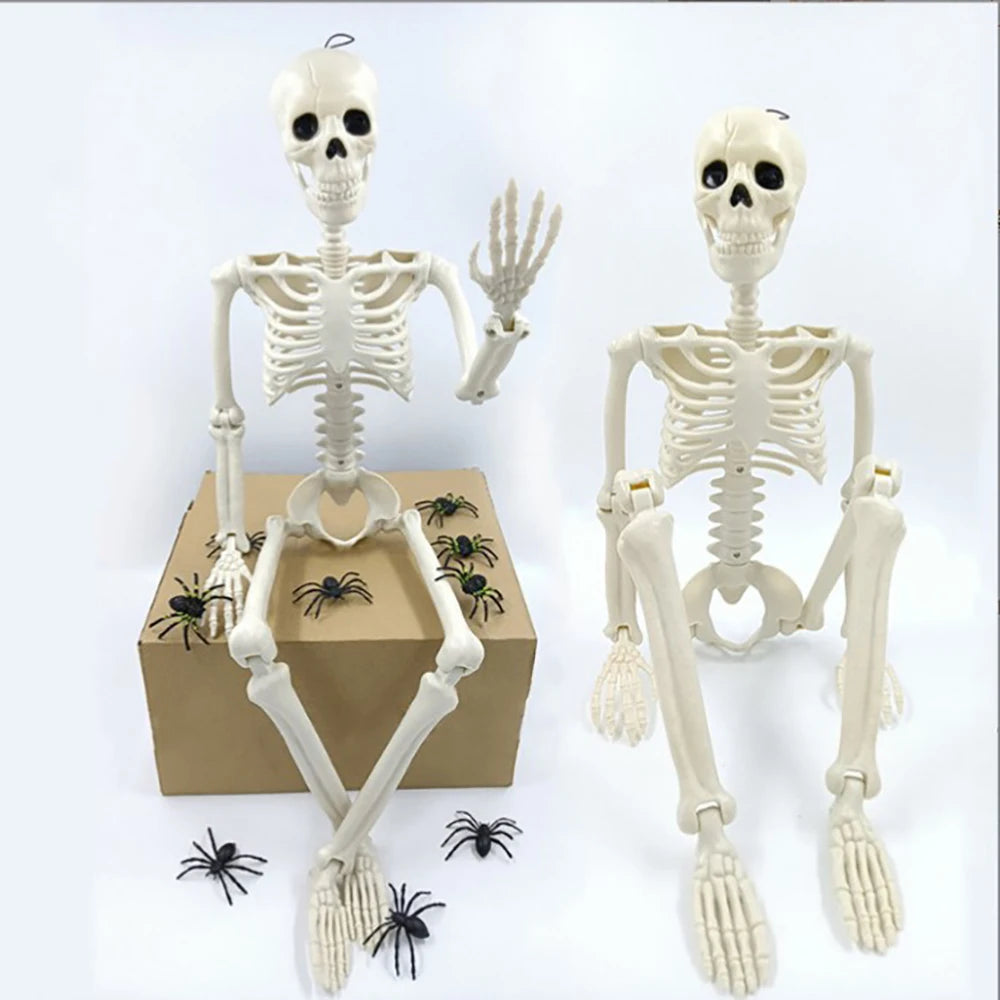 40cm Halloween Human Shape Skeleton,Posable Skeleton,Human Shape