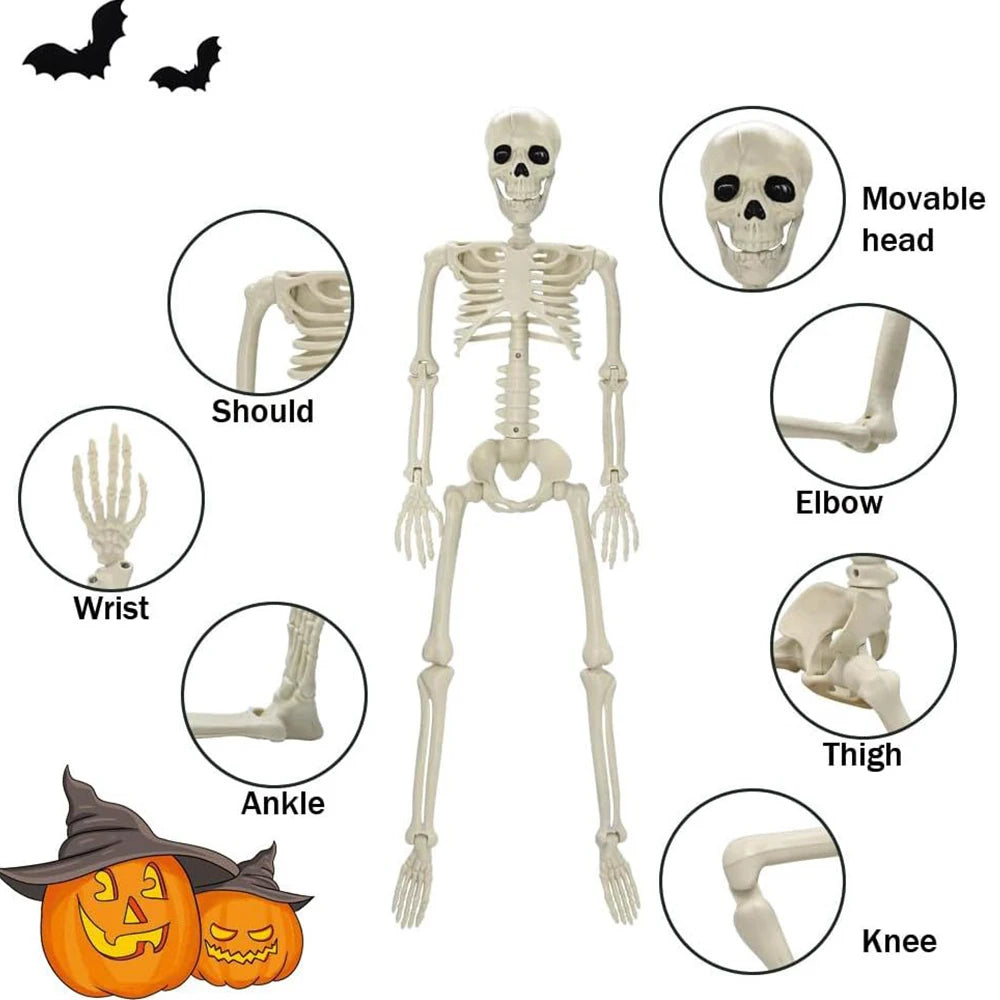 40cm Halloween Human Shape Skeleton,Posable Skeleton,Human Shape