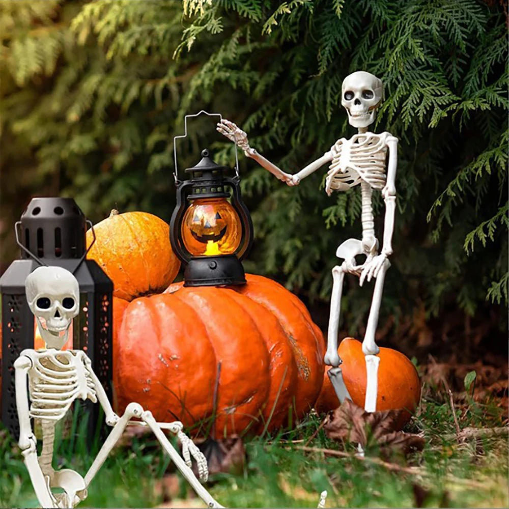 40cm Halloween Human Shape Skeleton,Posable Skeleton,Human Shape