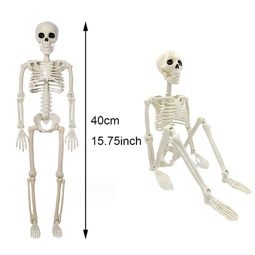 40cm Halloween Human Shape Skeleton,Posable Skeleton,Human Shape