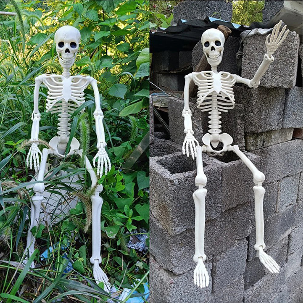 40cm Halloween Human Shape Skeleton,Posable Skeleton,Human Shape