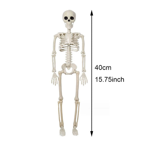 40cm Halloween Human Shape Skeleton,Posable Skeleton,Human Shape