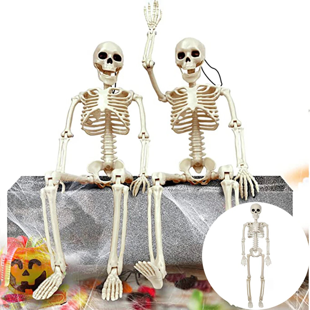 40cm Halloween Human Shape Skeleton,Posable Skeleton,Human Shape